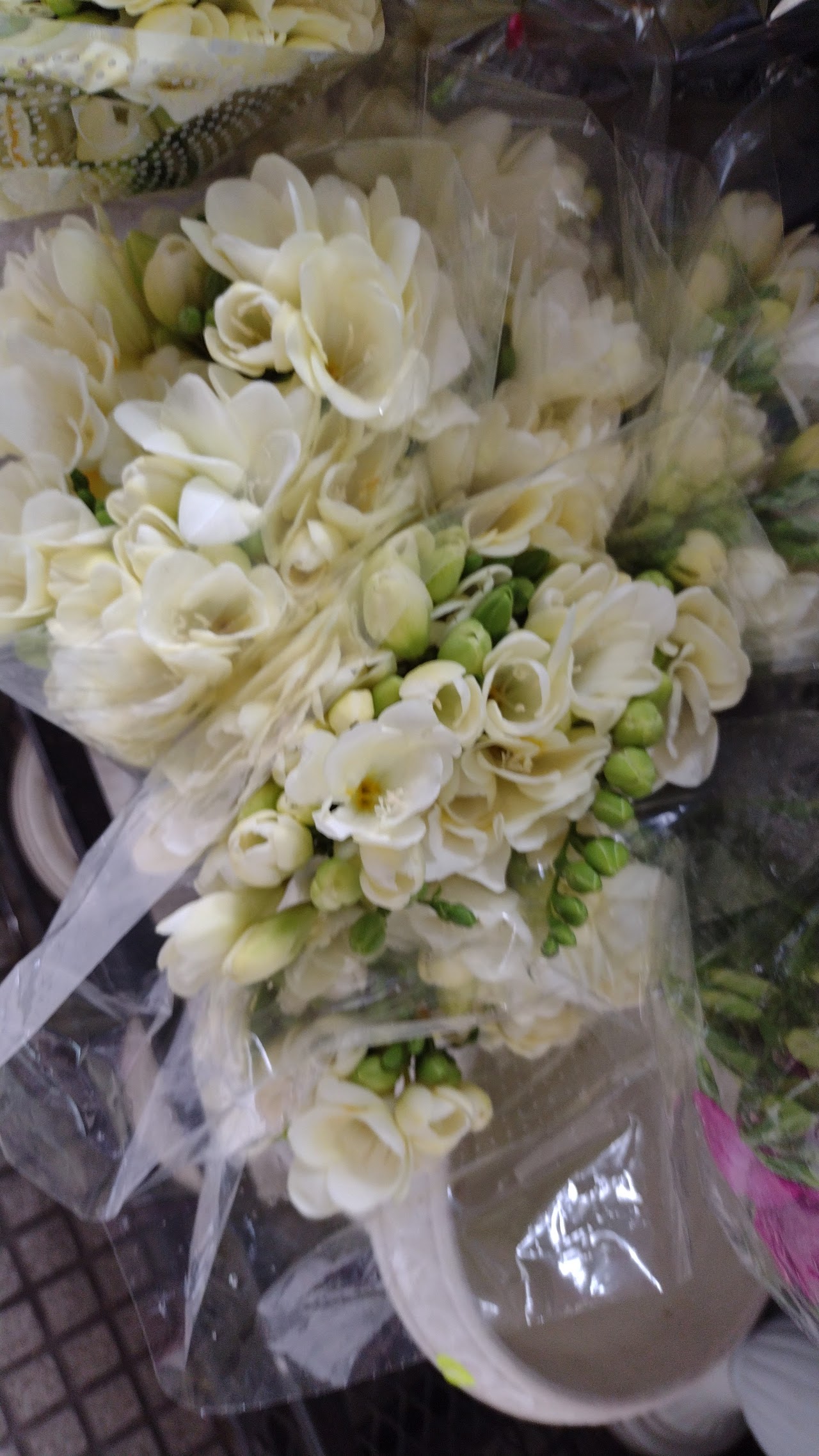 Flores por mayor