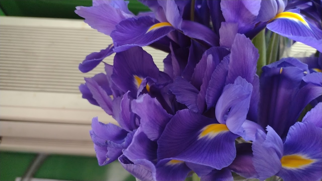 Bouquet premium